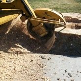 Stump Grinding